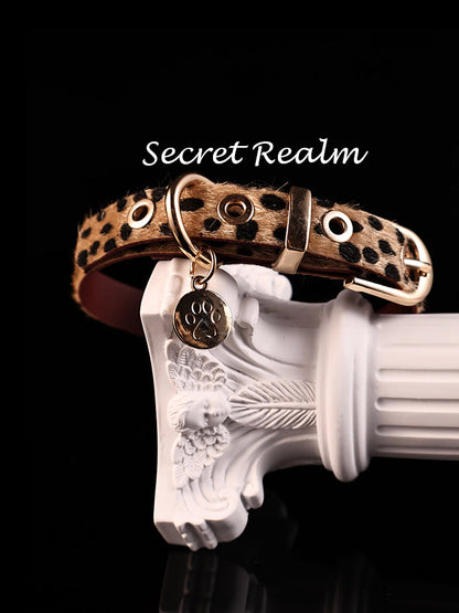 Leopard Print Collar with Leash