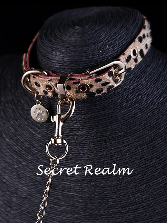Leopard Print Collar with Leash